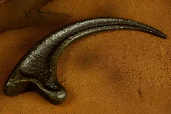 jurassic-park-replica-1-1-raptor-claw-1751122908-7