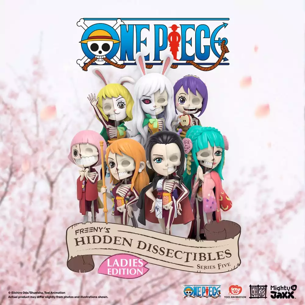 one-piece-blind-box-hidden-dissectibles-series-5-ladies-ed-display-6-1751235454-0