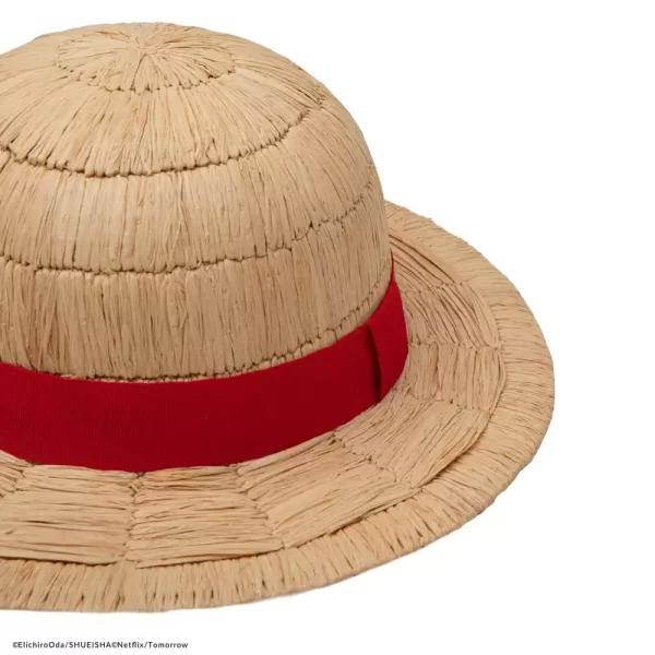 one-piece-hat-luffy-straw-hat-collector-edition-1751121634-4 one-piece-hat-luffy-straw-hat-collector-edition-1751121634-4