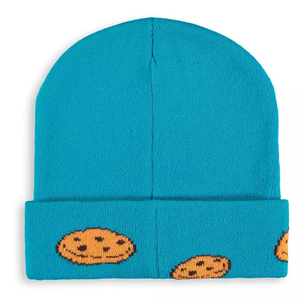 sesame-street-beanie-cookie-monster-1751195037-1