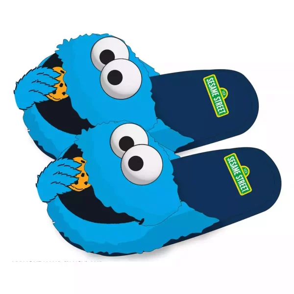 sesame-street-slippers-s-m-1751316465-0