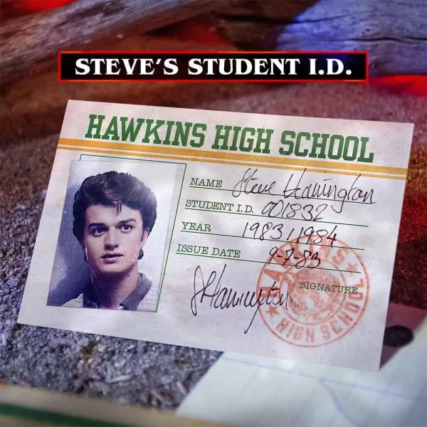 stranger-things-hawkins-memories-kit-vecnas-course-limited-edition-1751122941-10