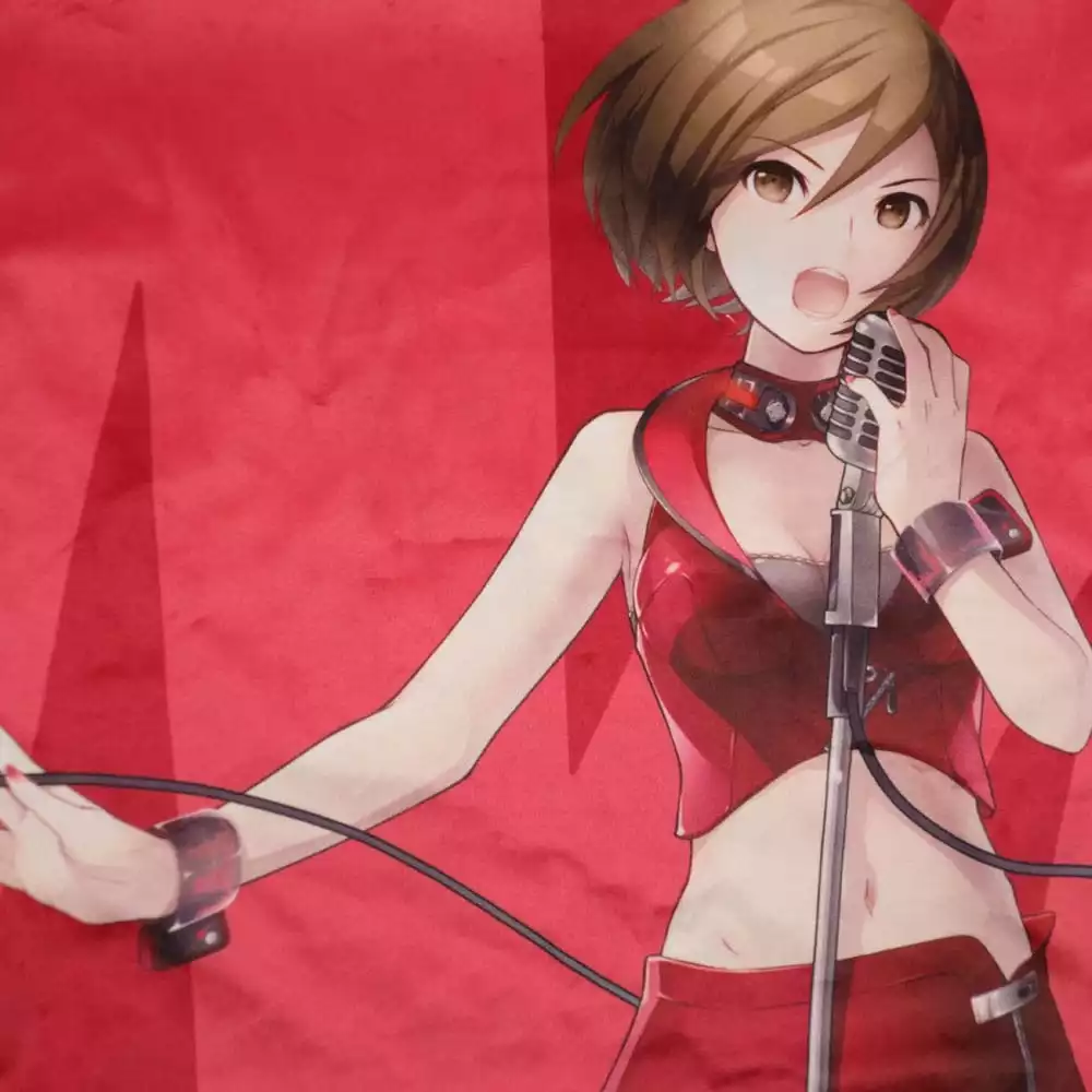 vocaloid-pillow-case-meiko-50-x-50-cm-1751290847-2