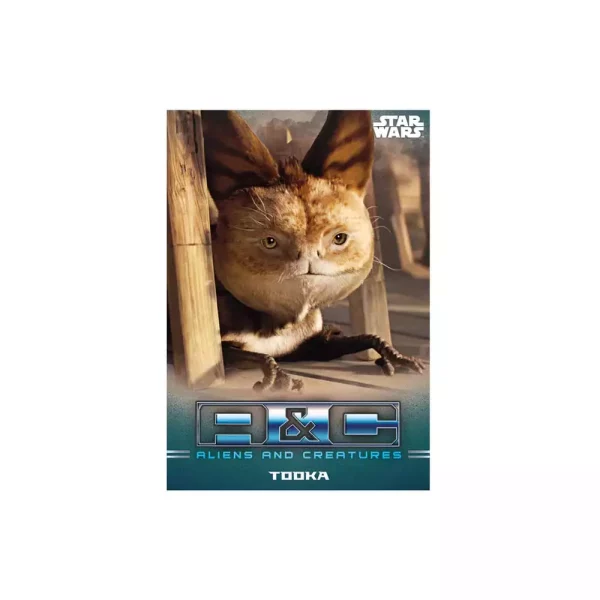 star-wars-the-mandalorian-trading-cards-starter-pack-english-version-1751391004-1